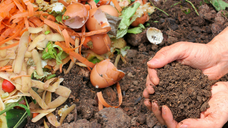Hands holding dirt near backyard compost pile