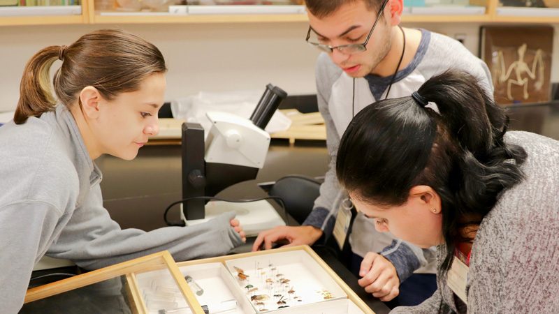2018-12-14 | CANR_ENWC_Medical-Entomology-Exam_Ashley-Kennedy_Tallamy Landscape architecture students working