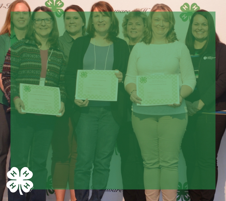 4-H Youth Development Volunteers receive awards 2019