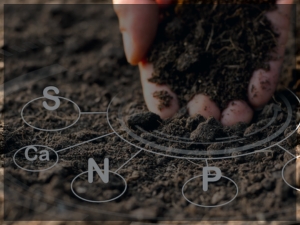 Background photo showing soil testing