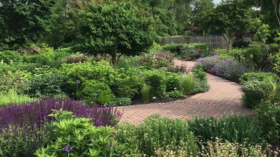 A photo of a paved garden path with greenery and purple flowers.