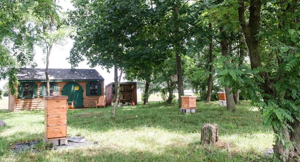 A photo of the bee hives and apiary building on the University of Delaware campus.
