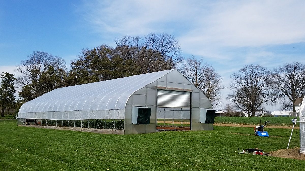 A photo of one of the high tunnel greenhouses at the University of Delaware Newark farm.