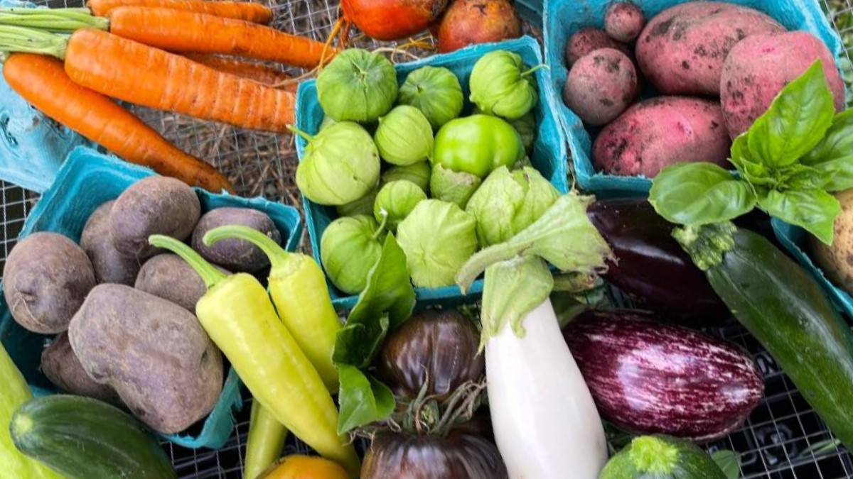 An assortment of fresh produce from UD Fresh To You.