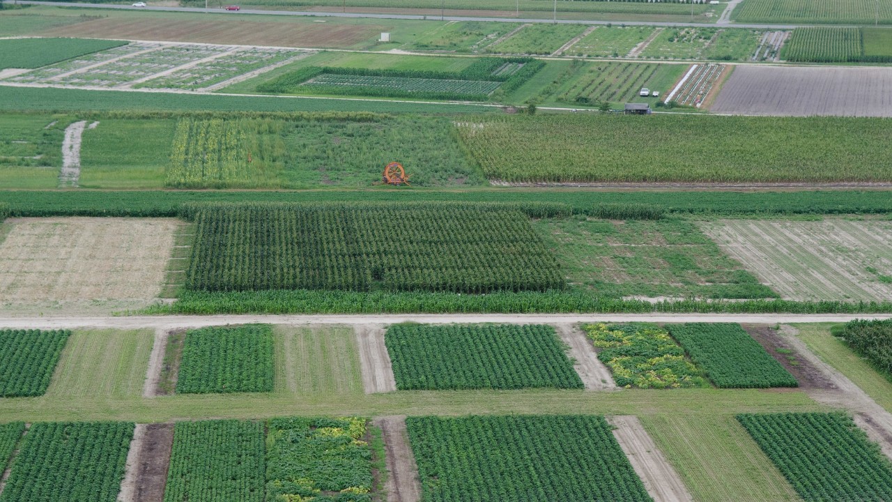 A photo of the Thurman Adams Jr. Research Farm from a drone.