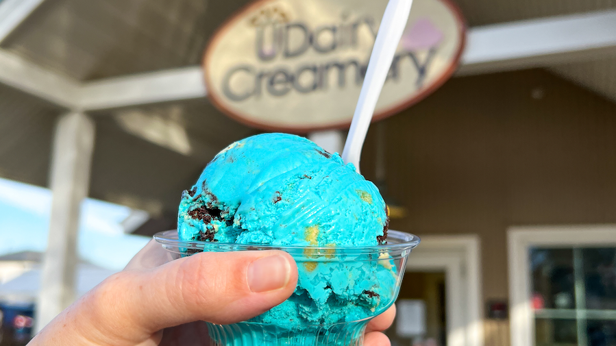 A photo of a person holding blue ice cream flavor 
