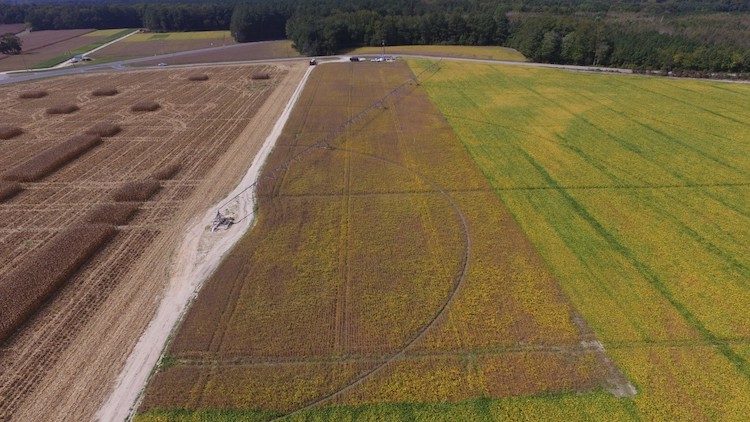 A photo of Warrington Farm from a drone.
