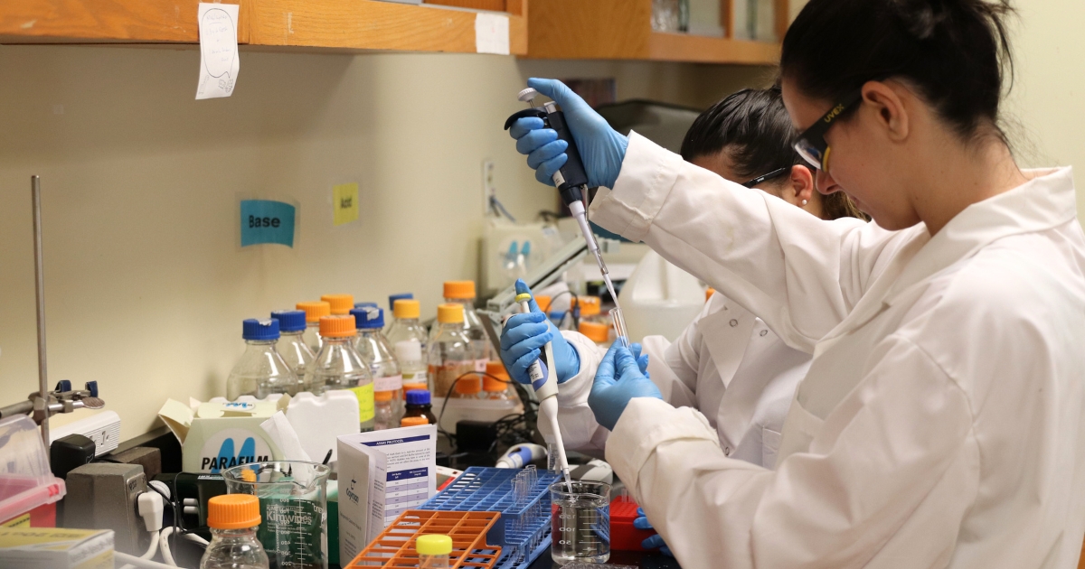 A student using a pipette works in an Animal Science lab.