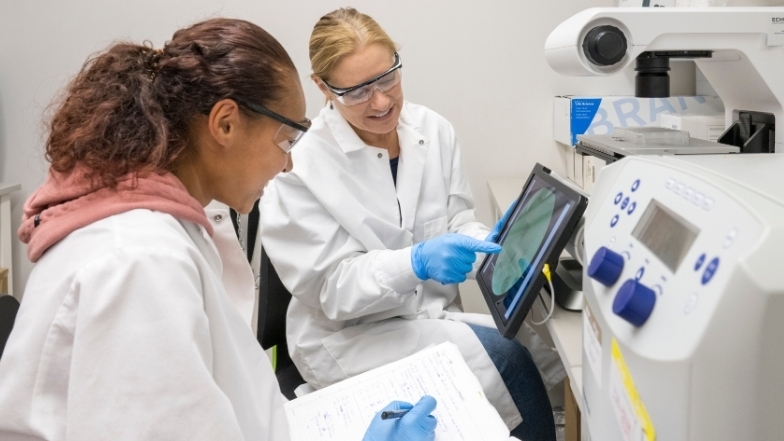 Dozier and Pisano work in the lab.