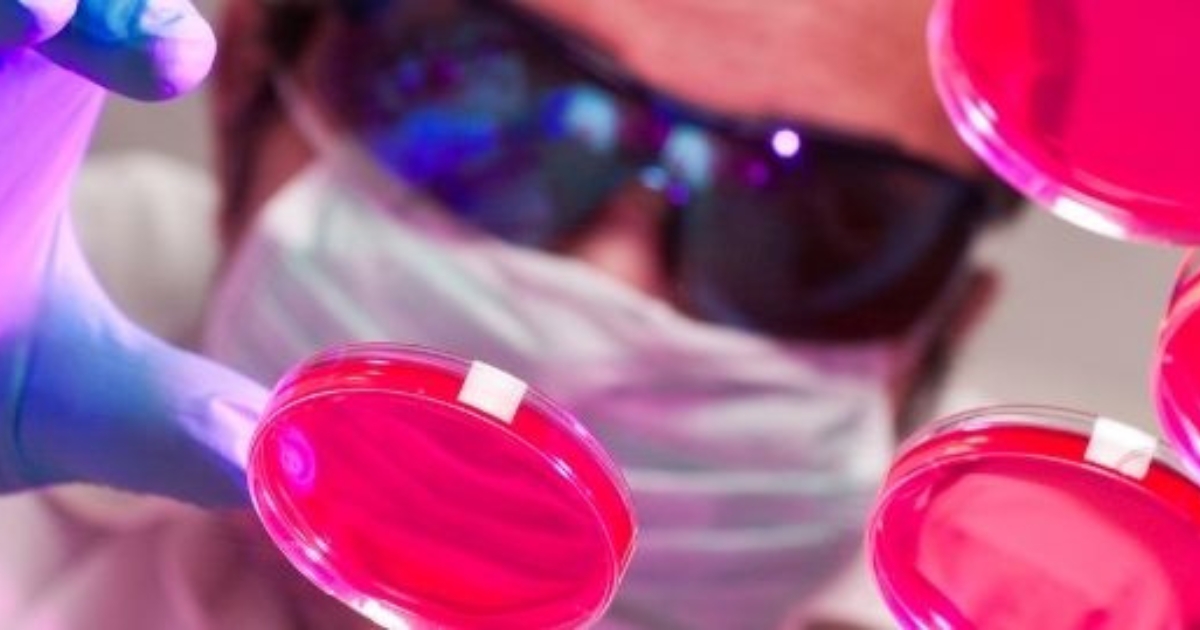 A person examining slides.