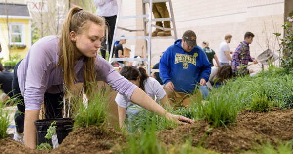 Landscape architecture students working