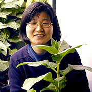 A profile photo of Jung-Youn Lee