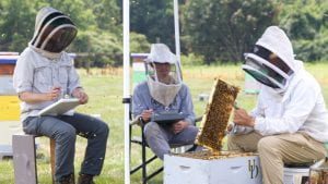 A photo of the apiary team