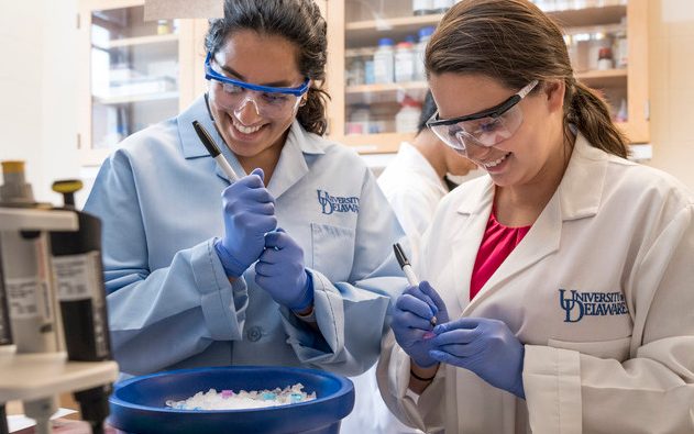 Graduate and undergraduate mentoring in Dr. Salil Lachke’s lab in Wolf Hall 