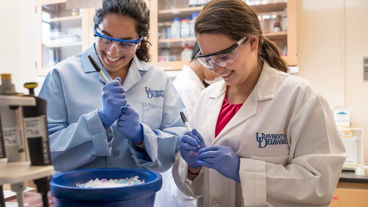 Graduate and undergraduate mentoring in Dr. Salil Lachke’s lab in Wolf Hall 