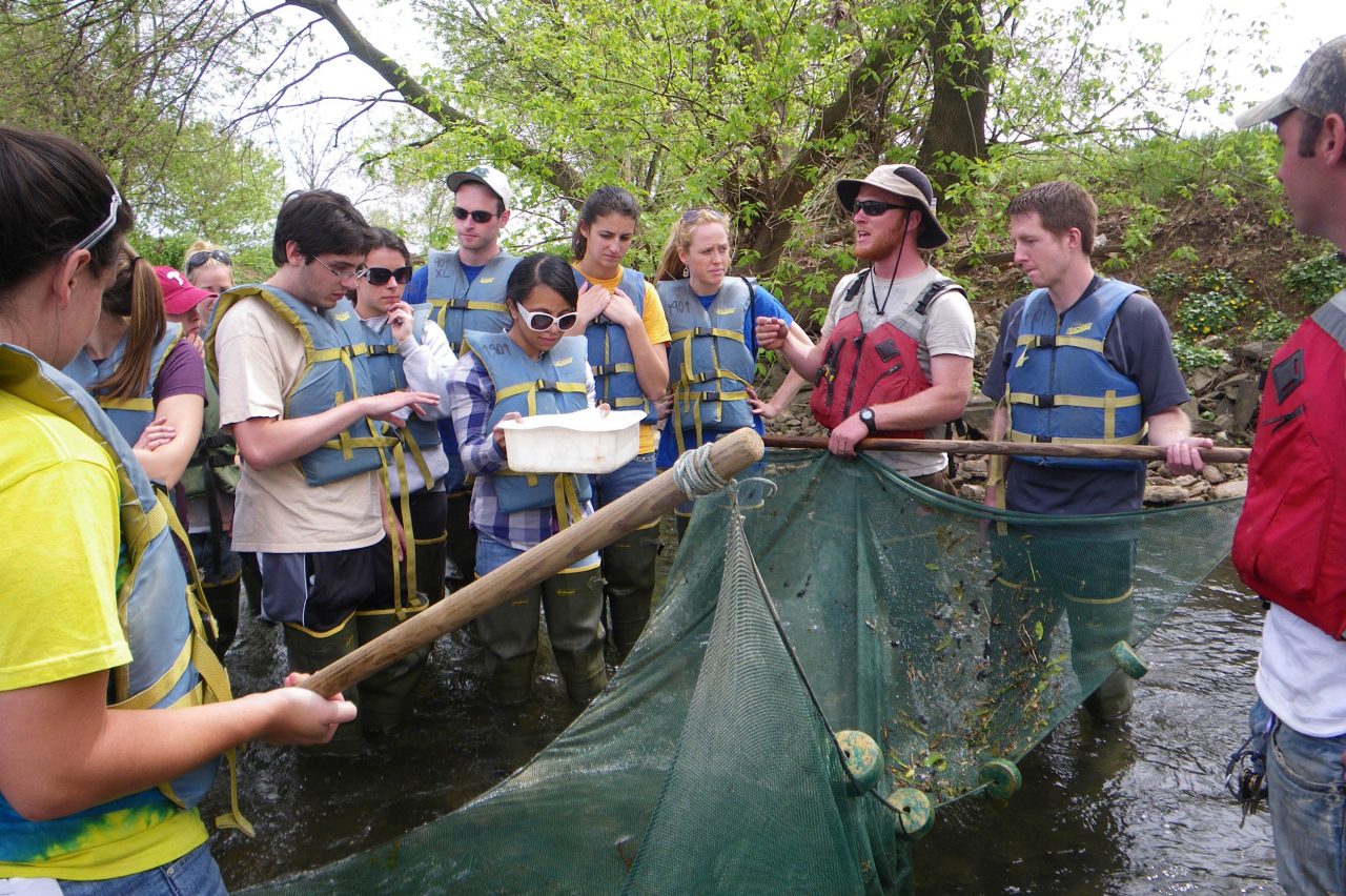 Class examining net in stream