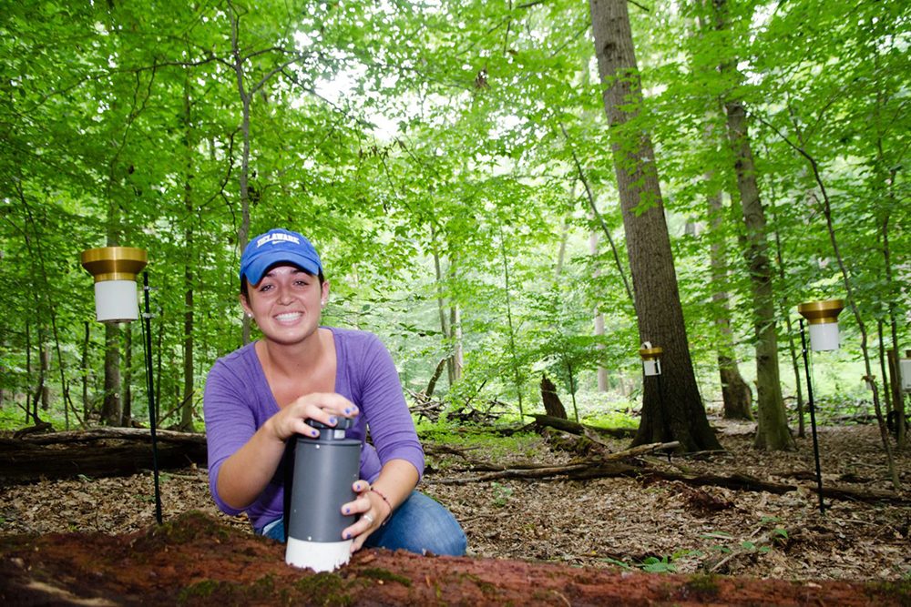 Student conducting research in forest