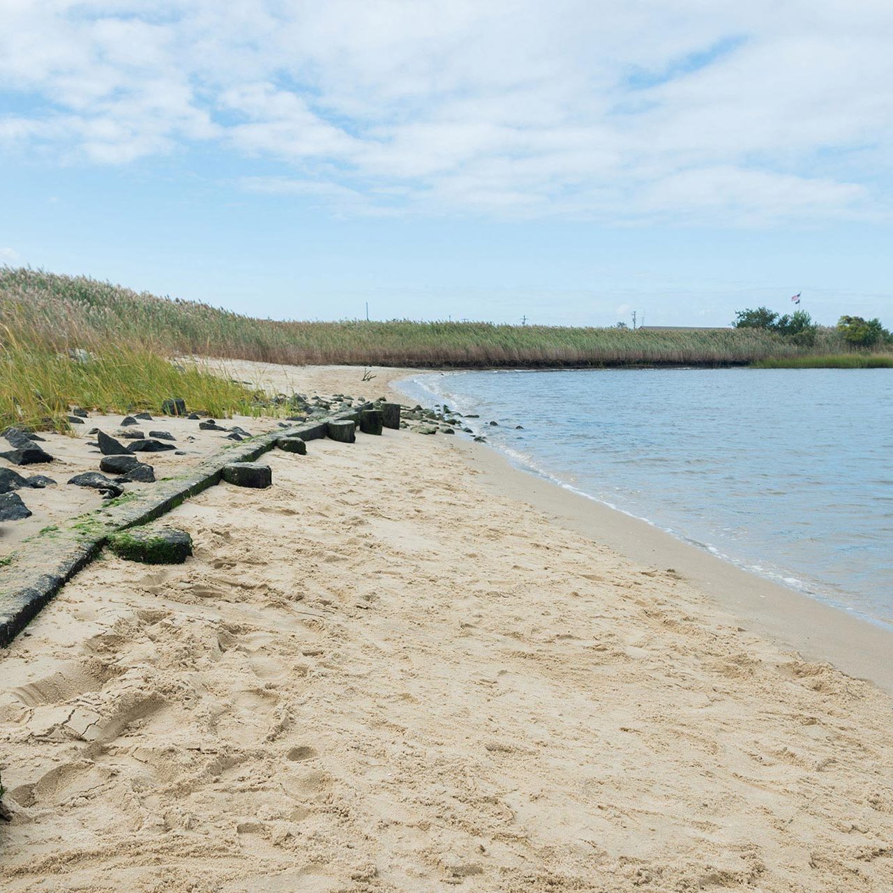 Freshman from the College of Earth, Ocean, and Environment (CEOE) get some field experience in Lewes, DE with a marsh walk, seining, and catch-and-release trawling in the bay on the newly-dedicated R/V Joanne Daiber.