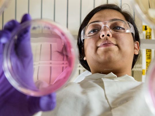 Reetika Dutt is a doctoral student in Chemistry and Biochemistry. Photographed in Wolf Hall for an article on glioblastoma research she is helping to conduct. - (Evan Krape / University of Delaware)