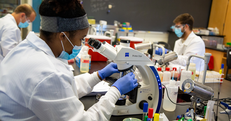 students in a laboratory