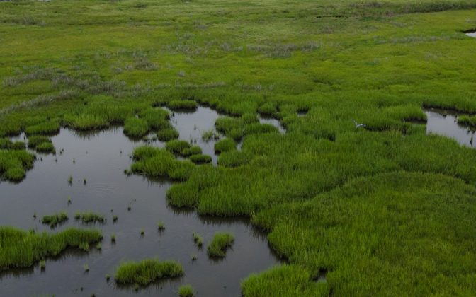 The Delaware Estuary is losing about an acre per day of tidal wetlands, a problem that could worsen as sea level rise accelerates and land development intensifies along coastlines, causing what’s known as “coastal squeeze.”