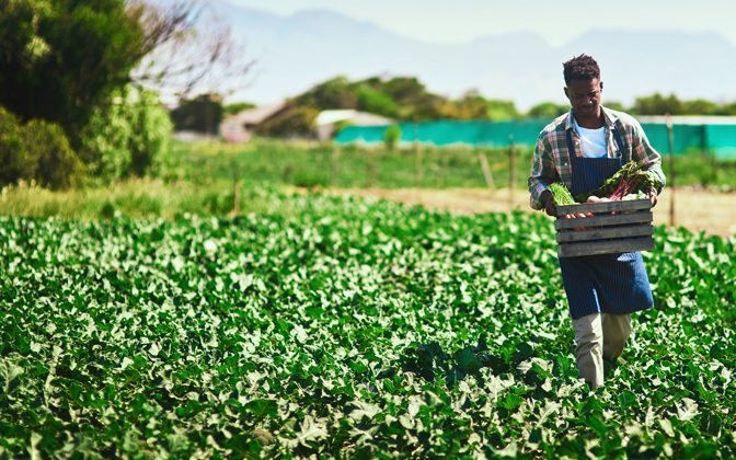 Farmers develop habits and routines. UD Prof. Kent Messer points to a glaring lack of research in convincing farmers not just to adopt conservation practices, but how they become engrained for the long term.