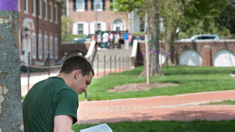Students sit, lay, talk and walk doing various activities on the North Green, with brick walkways and grass crossing across the picture, and steps leading up to Main Street.