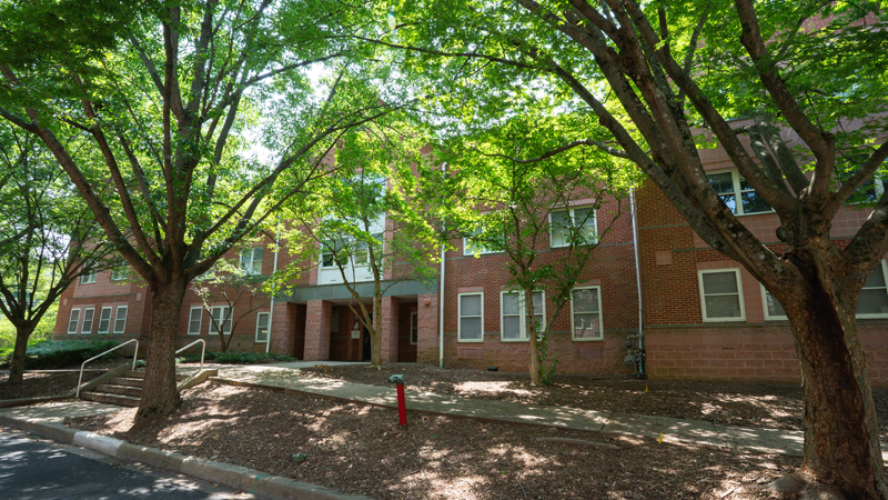 Steps lead up to a concrete walkway to the main entrance of Ray A Residence Hall. There are many trees in front of the building.