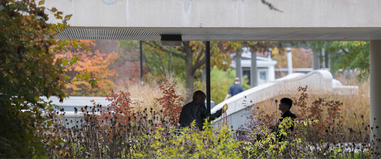People in shadow between buildings with fall plants