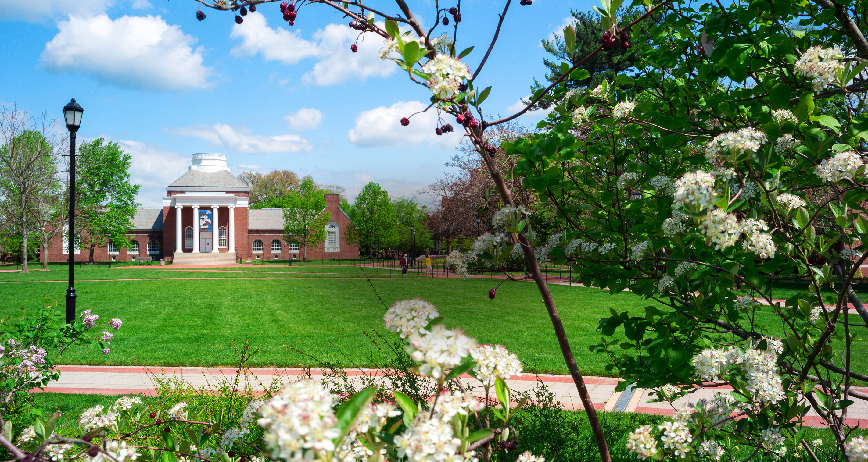 Undergraduate Admissions University Of Delaware