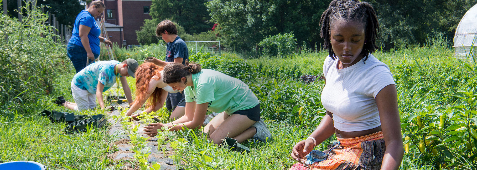 Edge Summer College Program