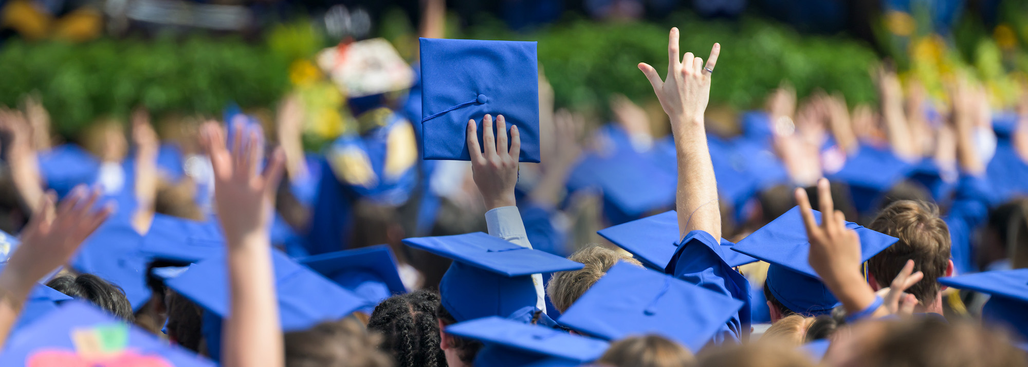 Flex Pathway and SEED Scholarship