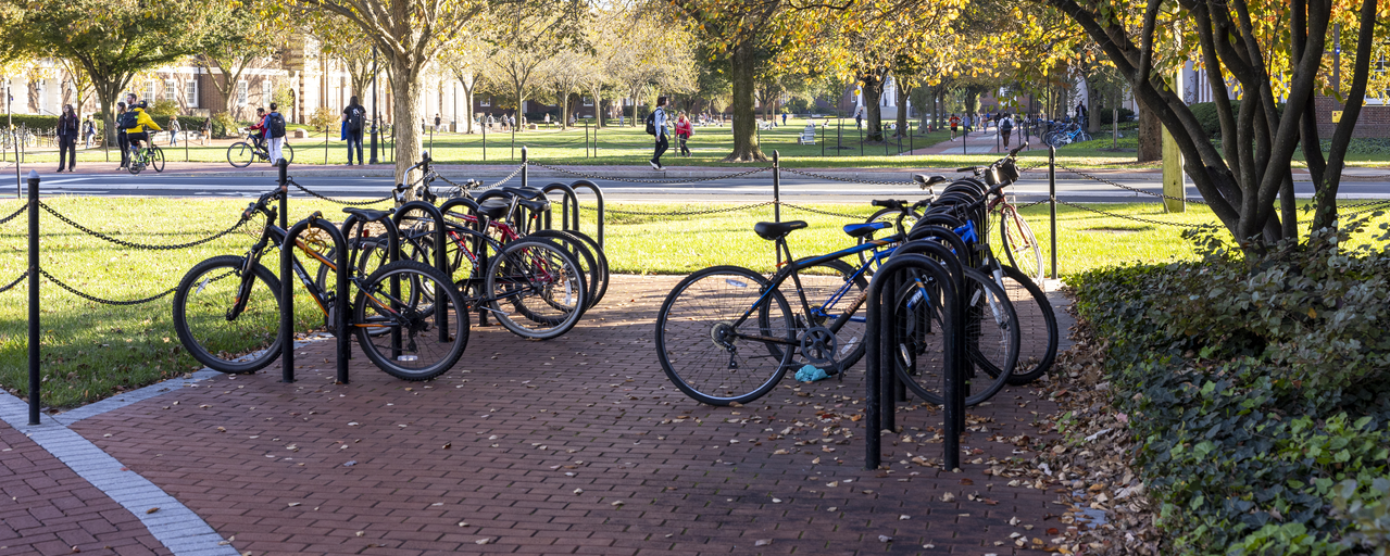 Bikes in a bike rack near the campus green