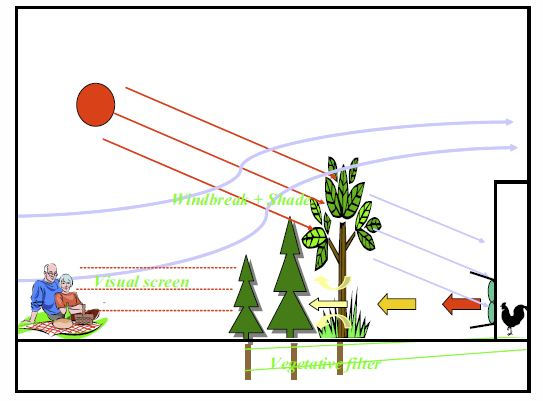 Detail chart of vegetative buffers for environmental concerns