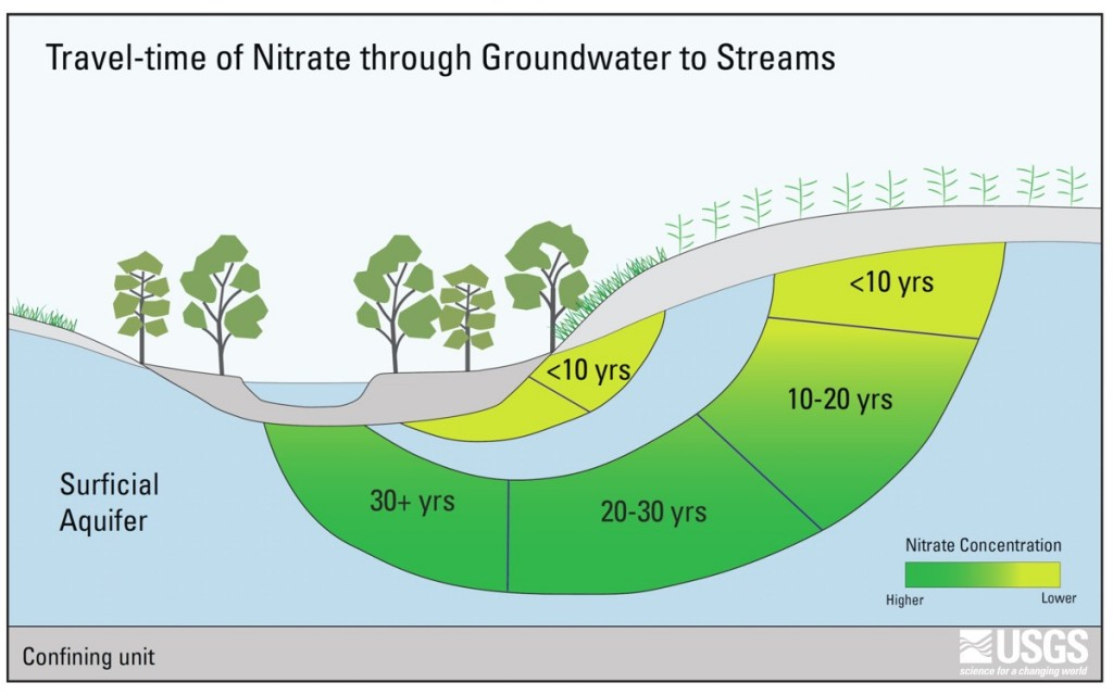 Diagram of Nitrate through water