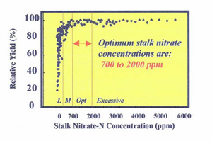 Corn Nitrate Testing Photo concentration 200 ppm