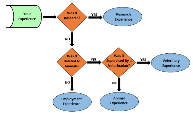 Vet experience hour explanation illustration