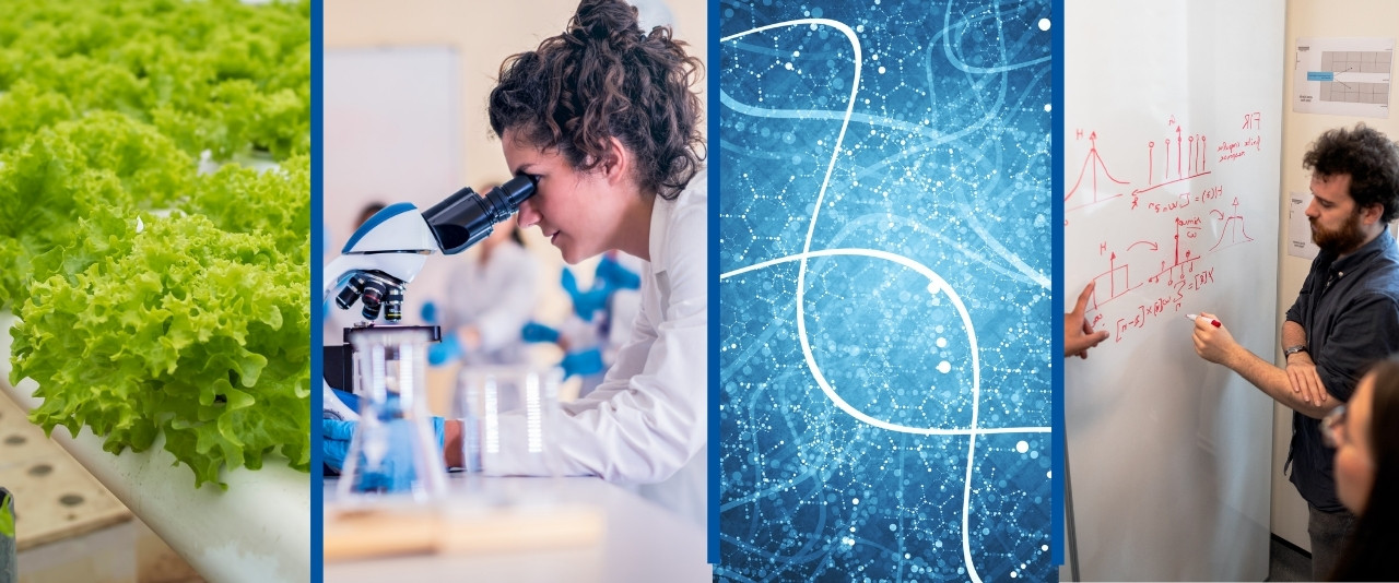 Split screen of 1) hydroponically grown plants, 2) a woman peering into a microscope, 3) a genetic strand, and 4) researchers writing a formula on a whiteboard. 
