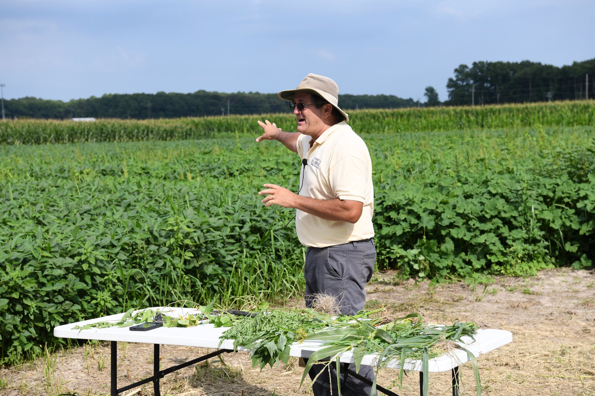 Mark VanGessel on Herbicide Resistant traits