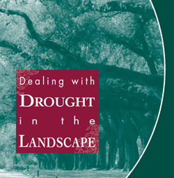 Dealing with drought cover