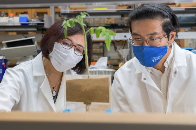 Soil scientist and professor Yan Jin is internationally known for tackling global issues in water quality, agriculture and food safety.