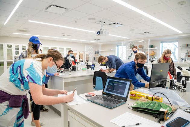 Students in PLSC201 Botany II learn about algae in one of the newly redesigned laboratories in Worrilow Hall.