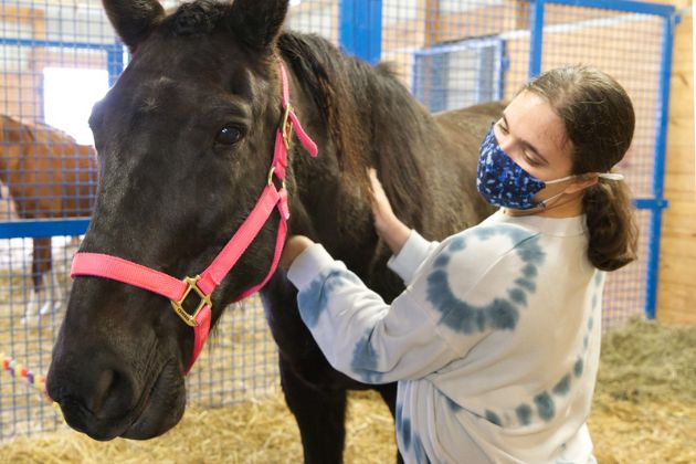 In ANFS324 Equine Lameness and Disease, students experience a day of hands-on instruction in the horse stables at UD's Webb Farm. 