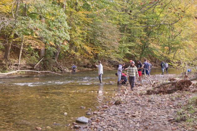 Students in Dr. Deb Delaney’s ENWC426 Aquatic Entomology class travel to White Clay Creek State Park to collect and examine samples of aquatic insects.