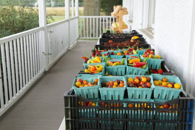 UD Fresh to You is a student-run farm located on the University of Delaware South Campus that provides produce to the university and local community. 