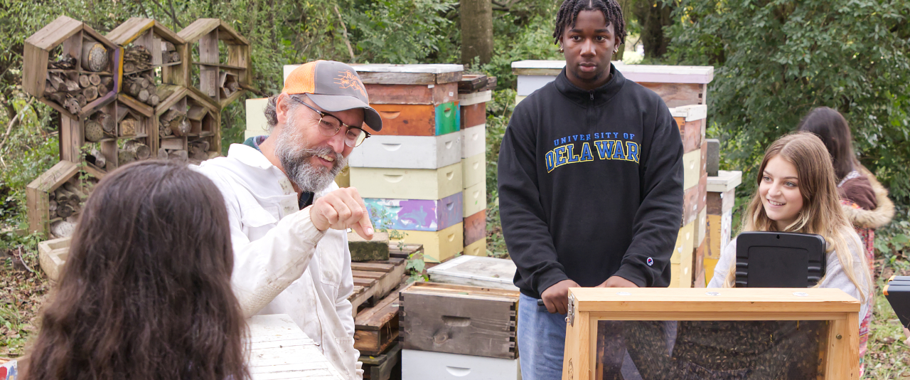 Students learning in the UD apiary