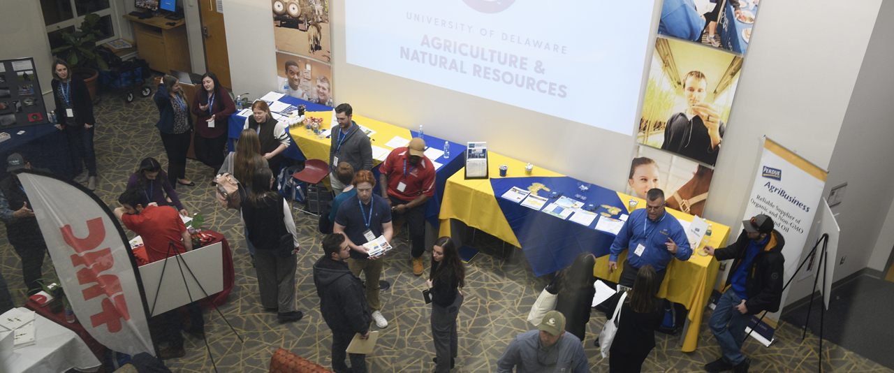 An overhead view of the Townsend Commons as employers and undergraduates network