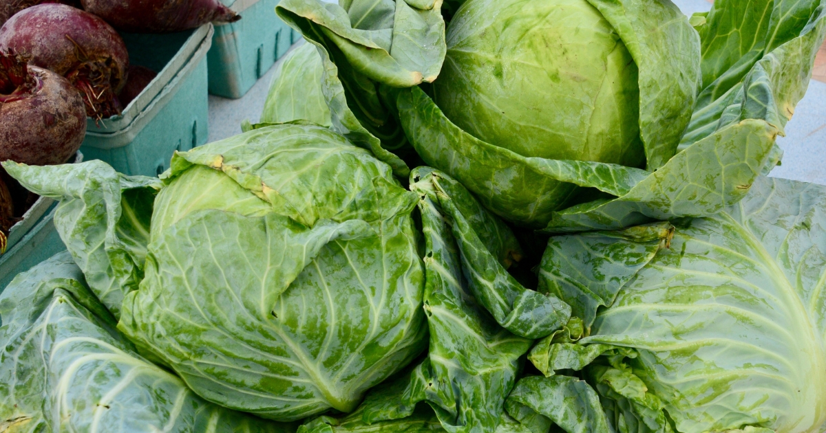 Cabbages