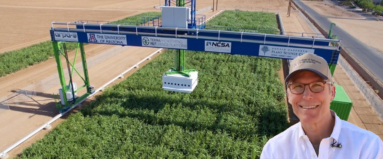 A man smiles in front of an overhead sensor platform spanning rows of crops in a research field.
