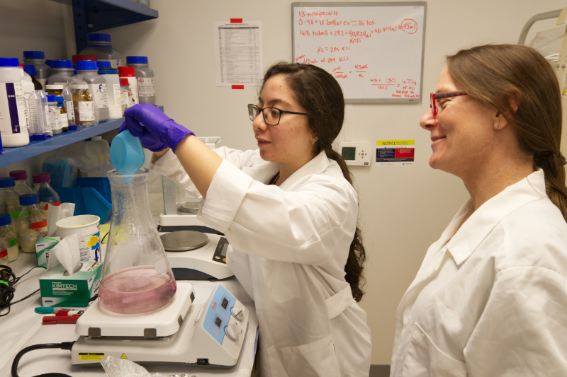 Professor Amy Biddle oversees a graduate student in the lab.